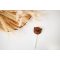 Marcipán nyalóka erdei maci